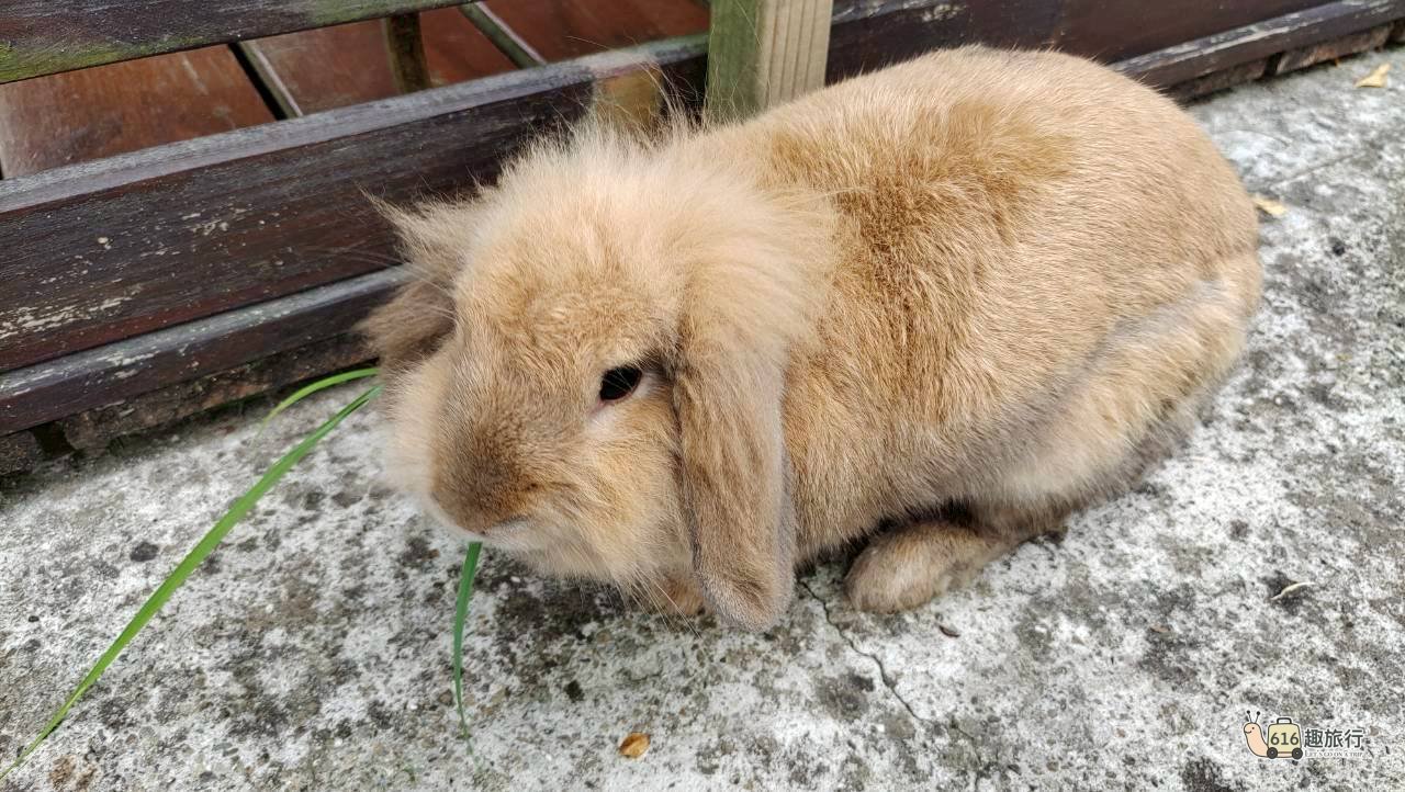 七人套房 - 房型照片